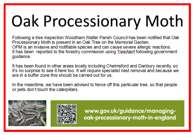 Oak Processionary Moth found at Memorial Garden