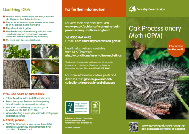 Oak Processionary Moth Information Leaflet Page 1 of 2 with information on identifying OPM and contact details.