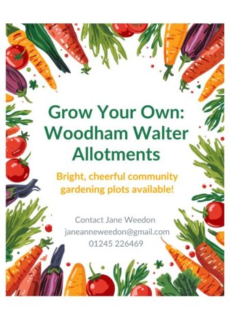 Image advertising Woodham Walter Allotments